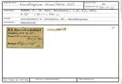 Karteikarte zum Belegmaterial von Ataxophragmium obesum (Reuss, 1851)
